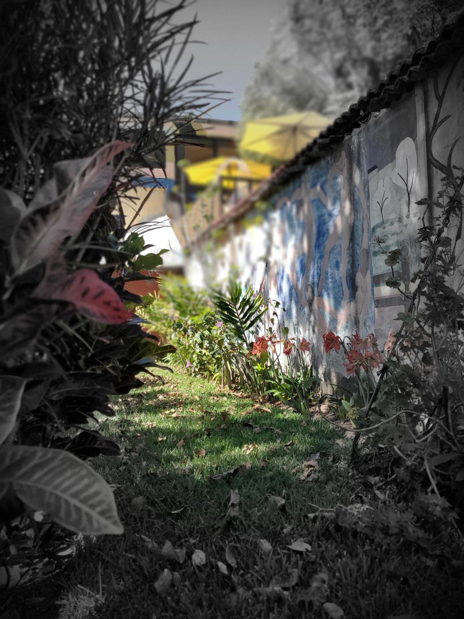 Art & Coffee Hotel Santa Cruz La Laguna Buitenkant foto